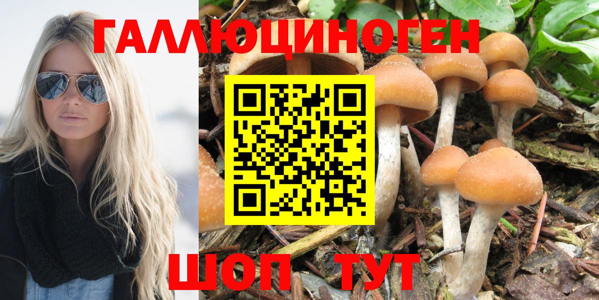 Кировск  Галлюциногенные грибы прущие грибы  Псилоцибиновые грибы прущие грибы  Вход с VPN 