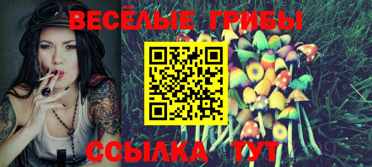 Галлюциногенные грибы прущие грибы Кировск